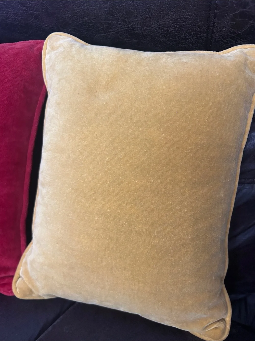 (2) Vintage Bird Throw Pillows -Small